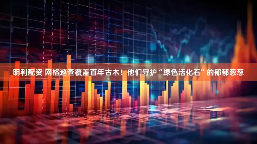 明利配资 网格巡查覆盖百年古木！他们守护“绿色活化石”的郁郁葱葱