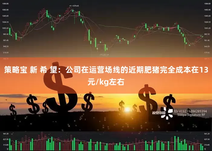 策略宝 新 希 望：公司在运营场线的近期肥猪完全成本在13元/kg左右