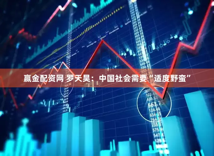 赢金配资网 罗天昊：中国社会需要“适度野蛮”