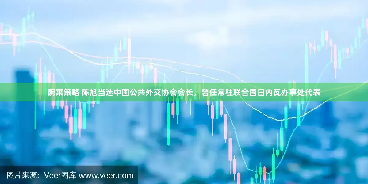 蔚莱策略 陈旭当选中国公共外交协会会长，曾任常驻联合国日内瓦办事处代表
