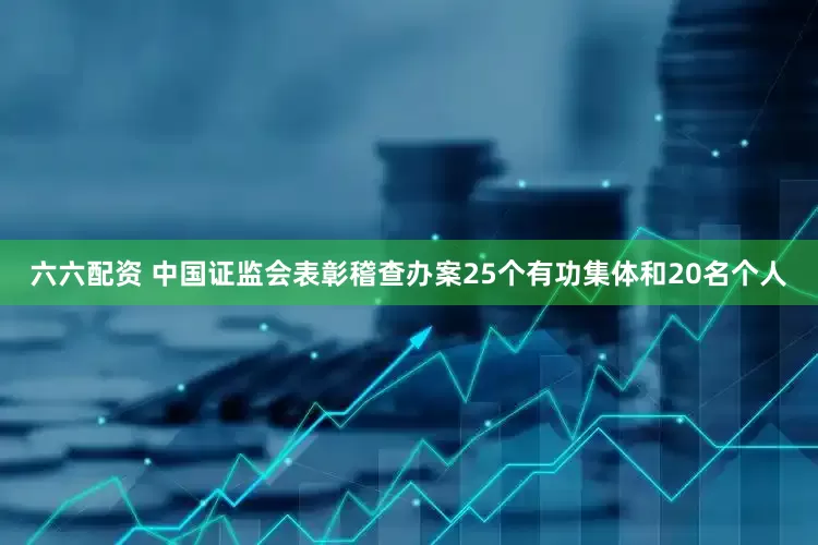 六六配资 中国证监会表彰稽查办案25个有功集体和20名个人